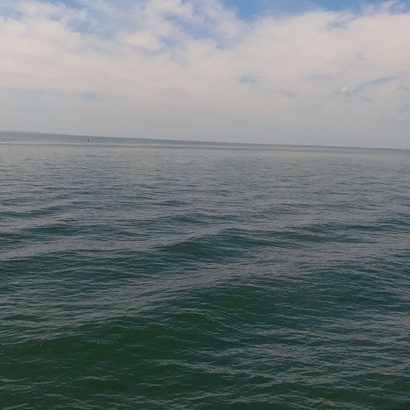 Meet your Posher, Erin - Picture 1 of 1